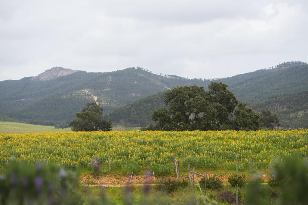 Herdade Do Amarelo Nature & Spa Vila Nova de Milfontes Εξωτερικό φωτογραφία