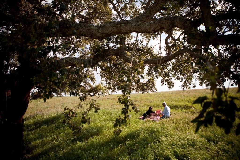 Herdade Do Amarelo Nature & Spa Vila Nova de Milfontes Εξωτερικό φωτογραφία