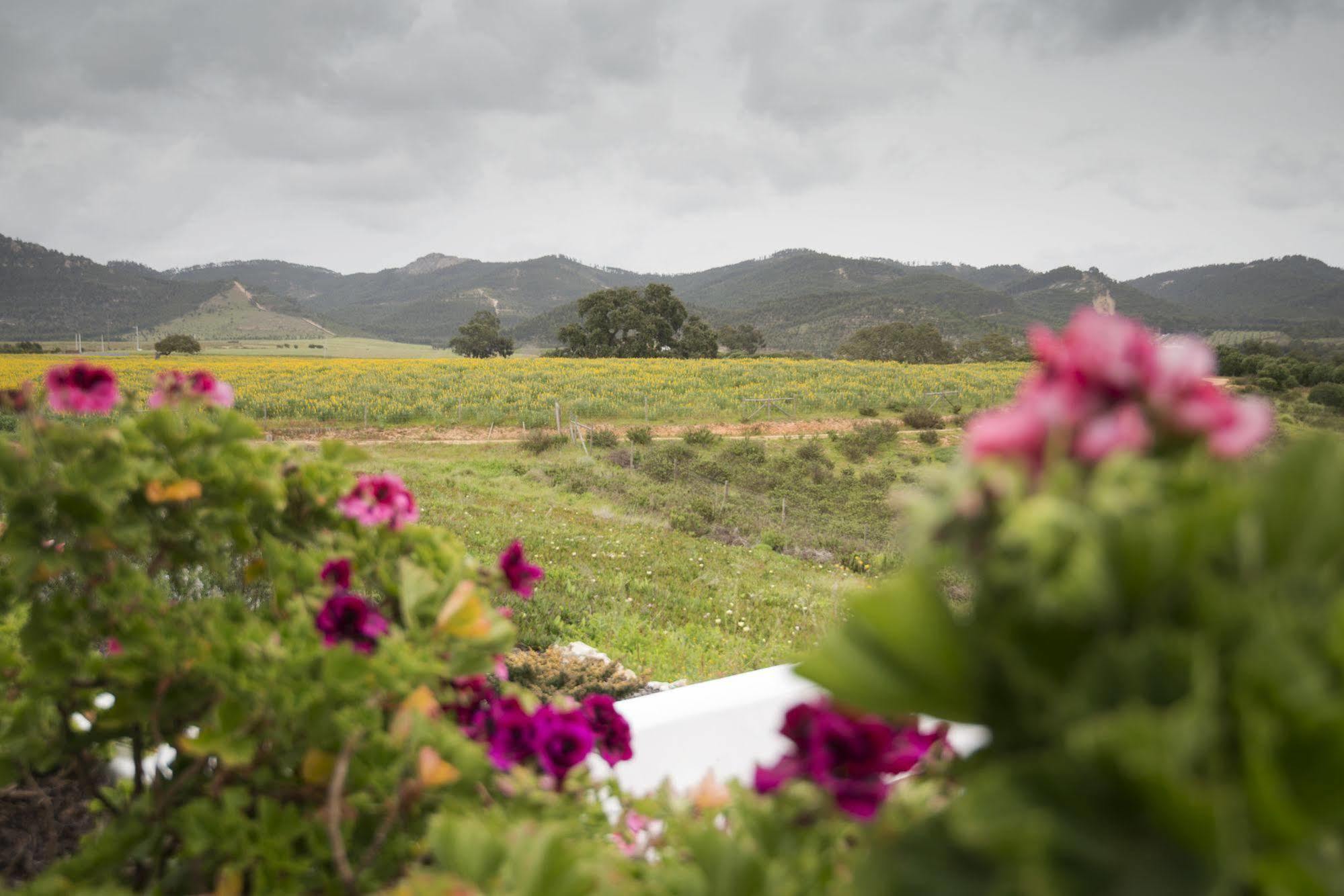 Herdade Do Amarelo Nature & Spa Vila Nova de Milfontes Εξωτερικό φωτογραφία
